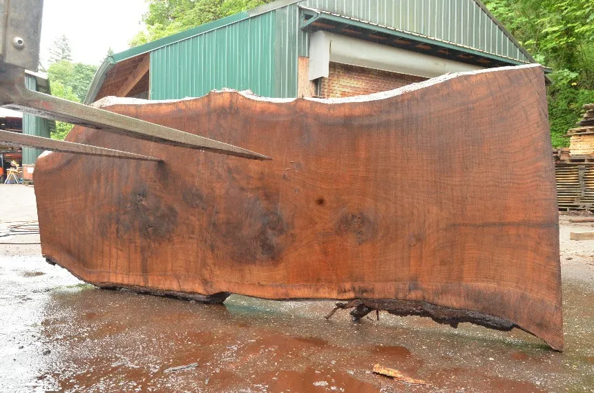 Oregon Black Walnut Slab 060322-07