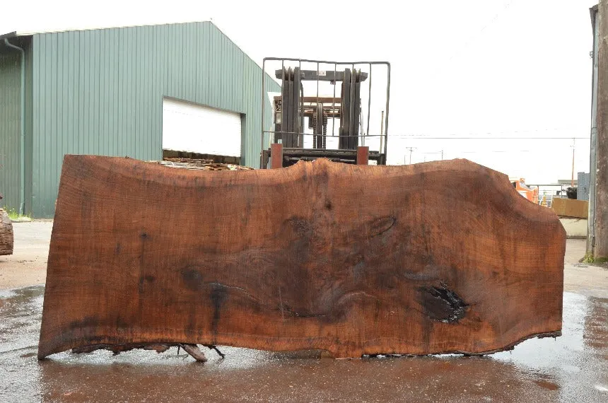 Oregon Black Walnut Slab 060322-07